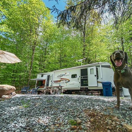 Rv Adventure Roscoe Pet Friendly Hotel Buitenkant foto