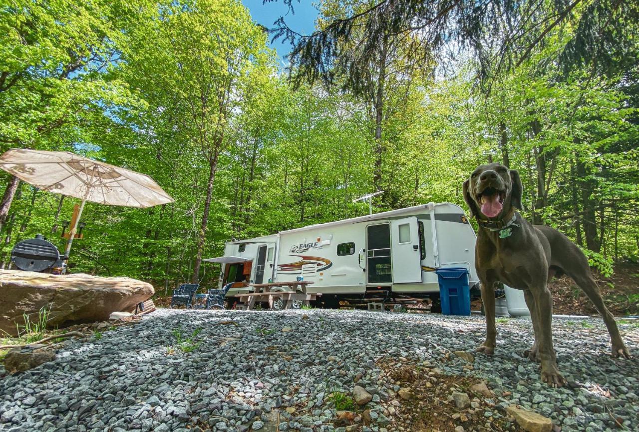 Rv Adventure Roscoe Pet Friendly Hotel Buitenkant foto