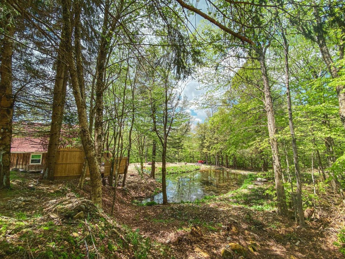 Rv Adventure Roscoe Pet Friendly Hotel Buitenkant foto